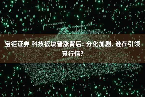 宝钜证券 科技板块普涨背后: 分化加剧, 谁在引领真行情?
